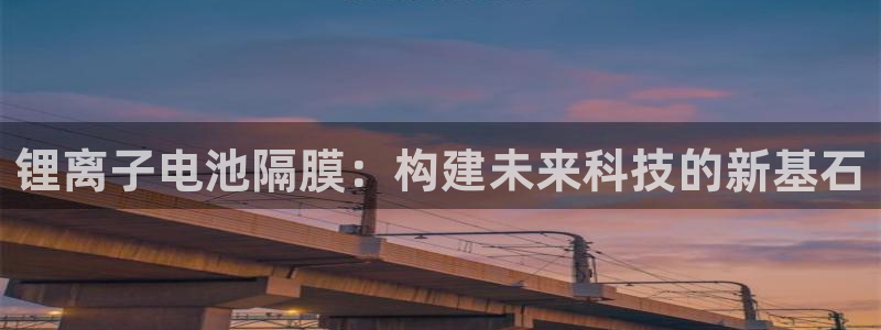 k豆钱包地址怎么写：锂离子电池隔膜：构建未来科技的新基石