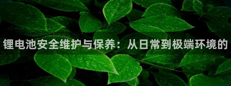 k豆钱包教程：锂电池安全维护与保养：从日常到极端环境的